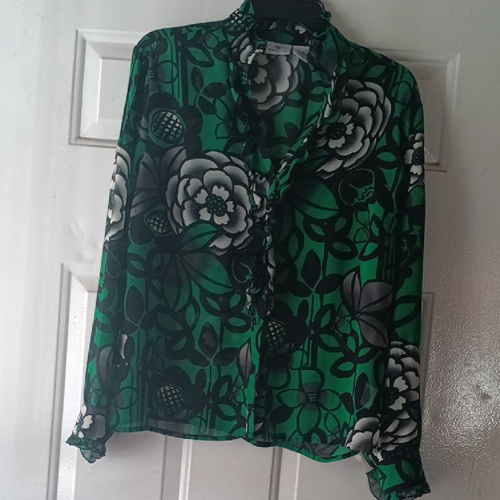 Beautiful Green and Black Sheer Blouse